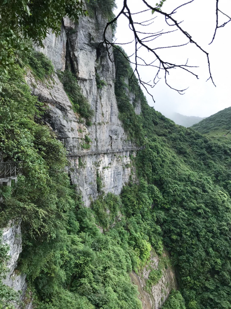 图片19