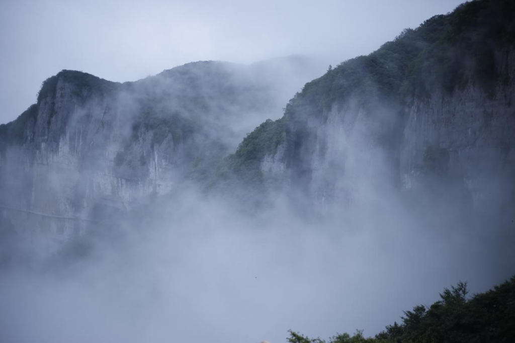 图片24