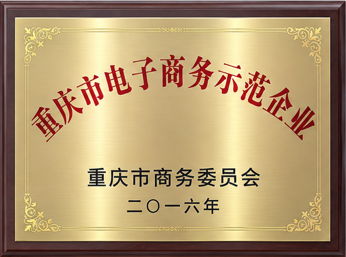 重庆市电子商务示范企业